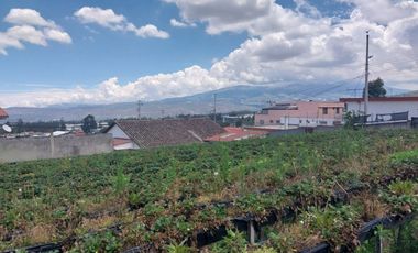 TERRENO EN VENTA ASCÁZUBI – CAYAMBE 2.880 M2
