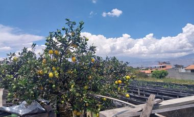 TERRENO EN VENTA ASCÁZUBI – CAYAMBE 2.880 M2