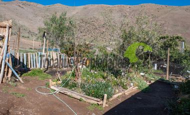Venta de casa en Villaseca en terreno de 200 m2, Valle del Elqui. $41 millones