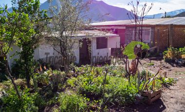 Venta de casa en Villaseca en terreno de 200 m2, Valle del Elqui. $41 millones