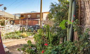 Venta de casa en Villaseca en terreno de 200 m2, Valle del Elqui. $41 millones