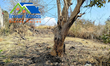 En Venta Terreno Con Escrituras, A 10 Minutos De Tlayacapan Y Oaxtepec, Urbanizado, Oportunidad