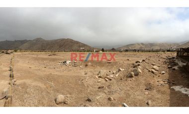 Ocasión Vendo Terreno 1Ha - Quilmaná, Cañete