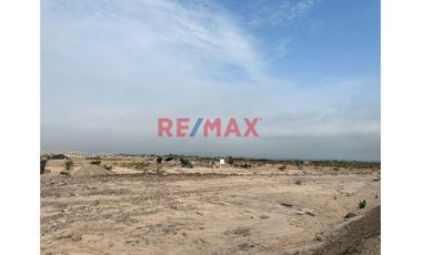 Ocasión Vendo Terreno 1Ha - Quilmaná, Cañete