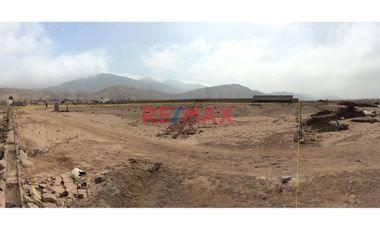 Ocasión Vendo Terreno 1Ha - Quilmaná, Cañete