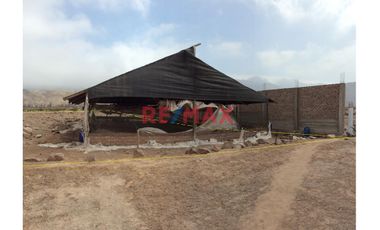 Ocasión Vendo Terreno 1Ha - Quilmaná, Cañete