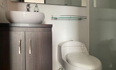 45515 Apartamento en arriendo en el sector El Trianon