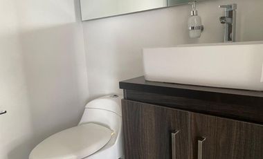 45515 Apartamento en arriendo en el sector El Trianon