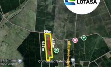 Venta Terreno 4.75 Has Nuevo Samborondon, Sector Sabanilla, cerca del Country Club