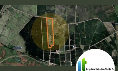 Venta Terreno 4.75 Has Nuevo Samborondon, Sector Sabanilla, cerca del Country Club