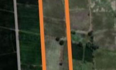 Venta Terreno 4.75 Has Nuevo Samborondon, Sector Sabanilla, cerca del Country Club