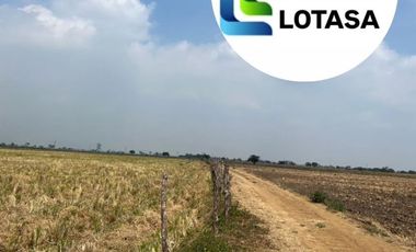 Venta Terreno 4.75 Has Nuevo Samborondon, Sector Sabanilla, cerca del Country Club
