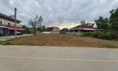 Land for sale, San Kamphaeng. Near Louis intersection Next to the road on two sides, 188 sq m./18,000 baht.