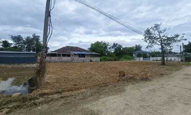 Land for sale, San Kamphaeng. Near Louis intersection Next to the road on two sides, 188 sq m./18,000 baht.
