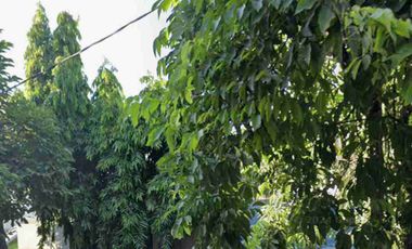 *BUTUH Cepat Laku ‼️*
*Komersial Area‼️*

```Dijual Cepat Tanah Siap Bangun Lokasi Super Strategis Raya HR.Muhammad, Dekat Mall & Pusat Bisnis Surabay