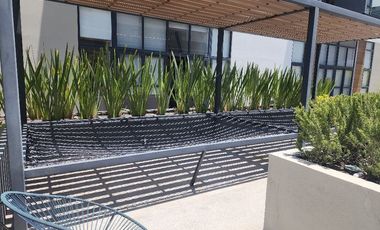 Suite Universitaria Xentric Anahuac en VENTA en Zibata