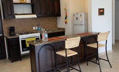 RENTO DEPARTAMENTO AMUEBLADO EN VILLAS LOS FRAILES CON ALBERCA COMUNITARIA EN CLUSTER PRIVADO DE 7 DEPAS EN SAN MIGUEL DE ALLENDE,GTO