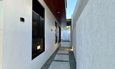BRAND NEW HOUSE AND LOT FOR SALE IN BF HOMES PARANAQUE