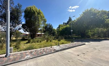 HERMOSO TERRENO EN CHARASOL