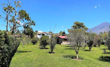 SENSACIONAL CABAÑA EN VILLA DE LEYVA