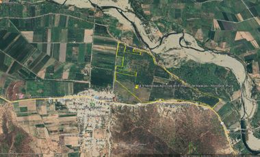 Terreno Agricola con agua en Morropon, Piura 64.9 hectareas