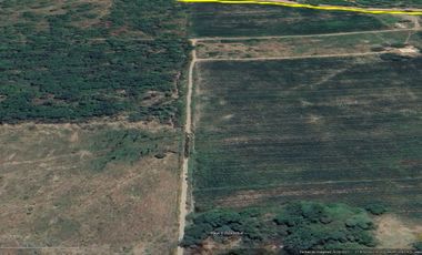 Terreno Agricola con agua en Morropon, Piura 64.9 hectareas