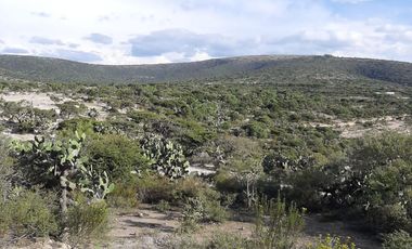 VENTA MACROTERRENO 55H TIANGUISTENGO