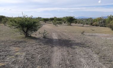 VENTA MACROTERRENO 55H TIANGUISTENGO