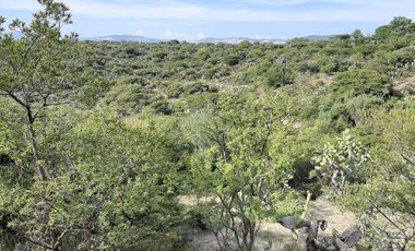 VENTA MACROTERRENO 55H TIANGUISTENGO