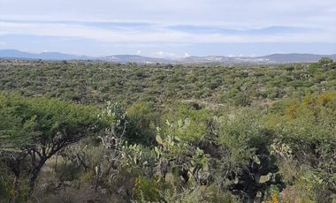 VENTA MACROTERRENO 55H TIANGUISTENGO