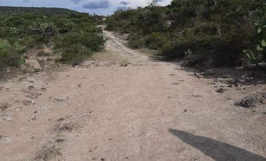 VENTA MACROTERRENO 55H TIANGUISTENGO