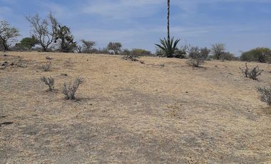 VENTA MACROTERRENO 55H TIANGUISTENGO