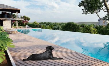 Billionaire's Row Ciela at Aera Heights 1370 sqm lot for Sale by Ayala Land Premier