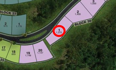 Billionaire's Row Ciela at Aera Heights 1370 sqm lot for Sale by Ayala Land Premier