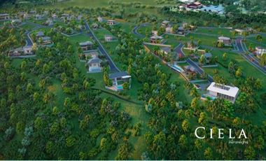 Billionaire's Row Ciela at Aera Heights 1370 sqm lot for Sale by Ayala Land Premier