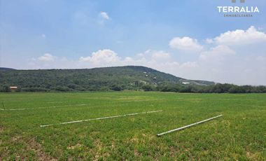 Rancho terreno en Venta de 16.2 hectáreas en La Griega