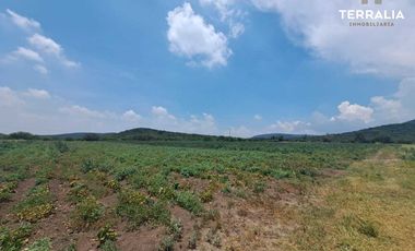 Rancho terreno en Venta de 16.2 hectáreas en La Griega