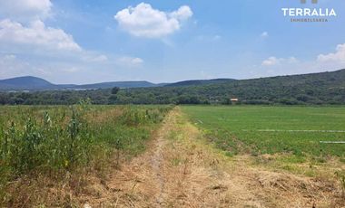 Rancho terreno en Venta de 16.2 hectáreas en La Griega