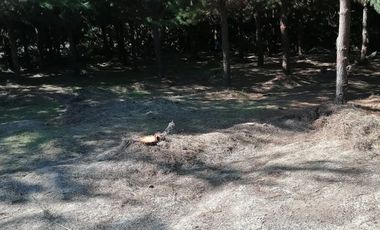 vendo terreno parcela