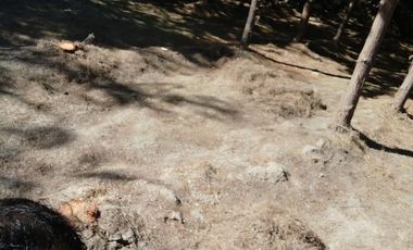 vendo terreno parcela