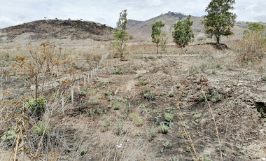 TERRENO DE 5000 m2 EN VENTA CERCA DE PLAZA GALERÍAS SUR SANTA ANITA - SAN AGUSTIN TLAJOMULCO DE ZÚÑIGA JALISCO