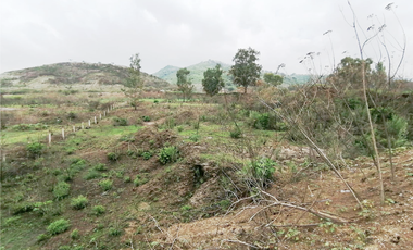 TERRENO DE 5000 m2 EN VENTA CERCA DE PLAZA GALERÍAS SUR SANTA ANITA - SAN AGUSTIN TLAJOMULCO DE ZÚÑIGA JALISCO