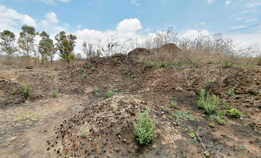 TERRENO DE 5000 m2 EN VENTA CERCA DE PLAZA GALERÍAS SUR SANTA ANITA - SAN AGUSTIN TLAJOMULCO DE ZÚÑIGA JALISCO