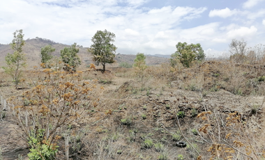 TERRENO DE 5000 m2 EN VENTA CERCA DE PLAZA GALERÍAS SUR SANTA ANITA - SAN AGUSTIN TLAJOMULCO DE ZÚÑIGA JALISCO