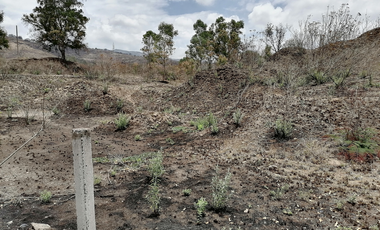 TERRENO DE 5000 m2 EN VENTA CERCA DE PLAZA GALERÍAS SUR SANTA ANITA - SAN AGUSTIN TLAJOMULCO DE ZÚÑIGA JALISCO