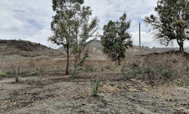 TERRENO DE 5000 m2 EN VENTA CERCA DE PLAZA GALERÍAS SUR SANTA ANITA - SAN AGUSTIN TLAJOMULCO DE ZÚÑIGA JALISCO