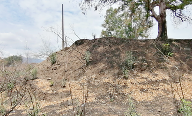 TERRENO DE 5000 m2 EN VENTA CERCA DE PLAZA GALERÍAS SUR SANTA ANITA - SAN AGUSTIN TLAJOMULCO DE ZÚÑIGA JALISCO
