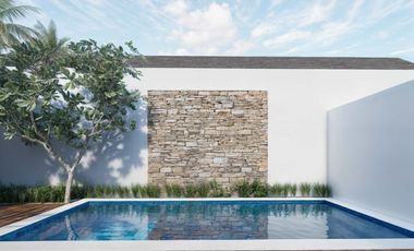 Newly Completed 3-Bedroom Villa for Lease in Sanur