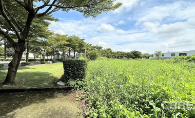 Lakefront land on Bangna (Ref. RSA4480)