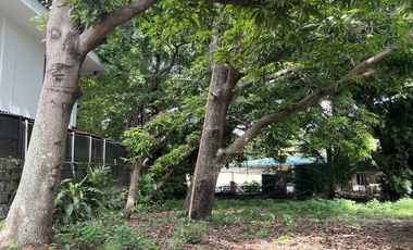 Vacant Lot for SALE in Muntinlupa